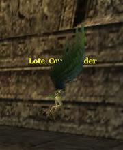 Lote Commander